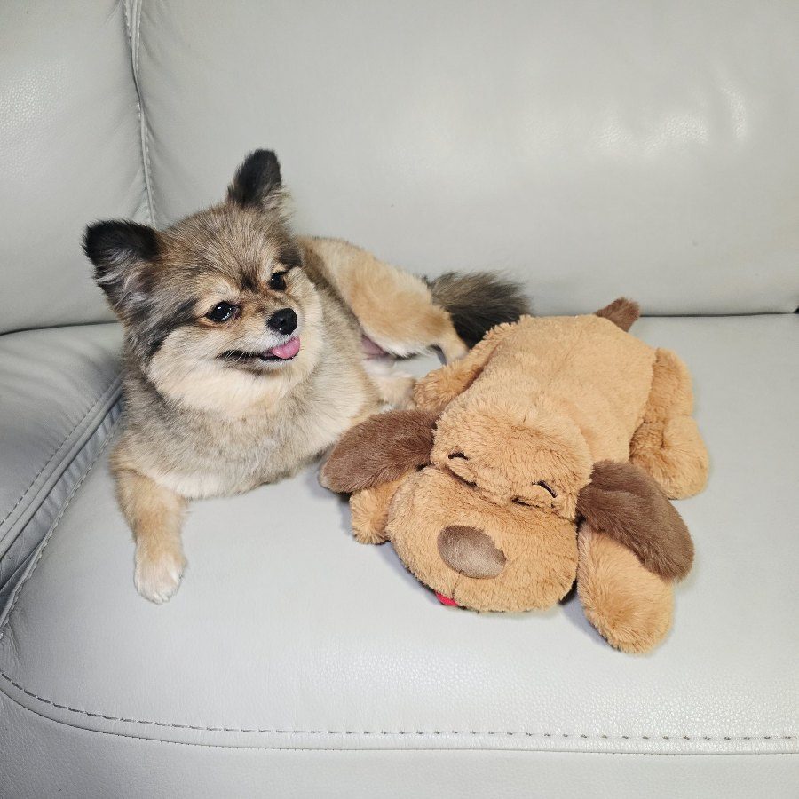 Jada lying on the couch next to her heartbeat plush